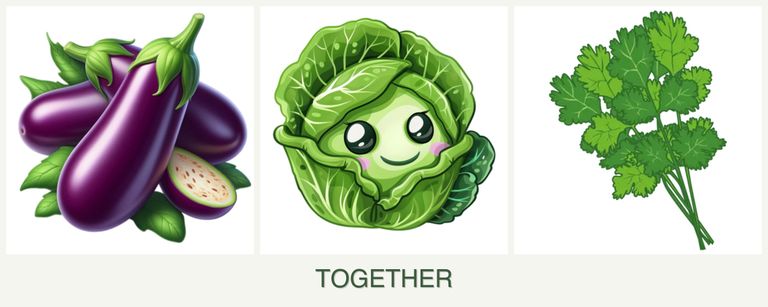 Can you plant eggplant, cabbage and cilantro together?