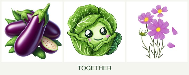 Can you plant eggplant, cabbage and cosmos together?