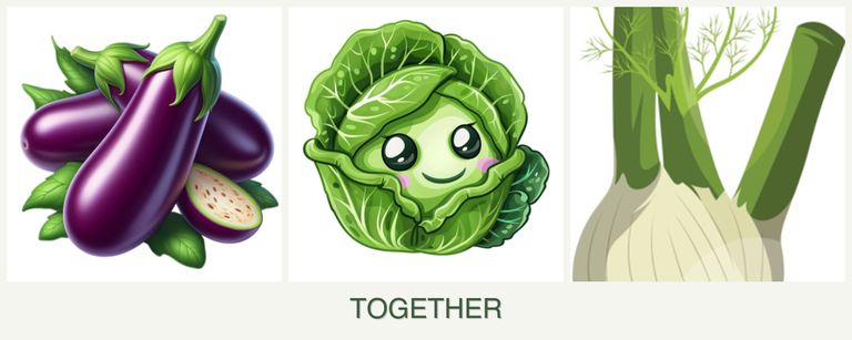 Can you plant eggplant, cabbage and fennel together?