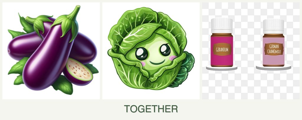 Can you plant eggplant, cabbage and geraniums together?