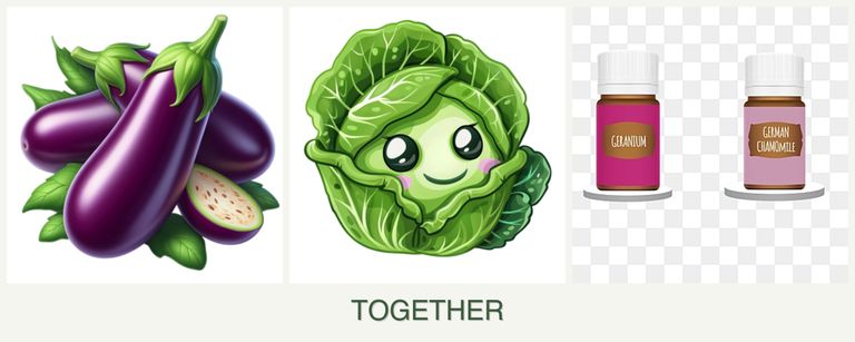 Can you plant eggplant, cabbage and geraniums together?
