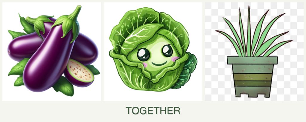 Can you plant eggplant, cabbage and lemongrass together?