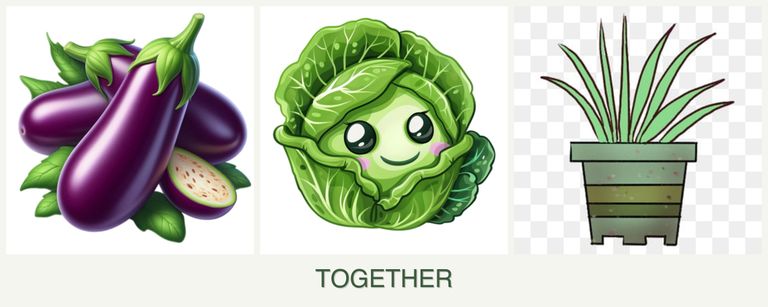 Can you plant eggplant, cabbage and lemongrass together?