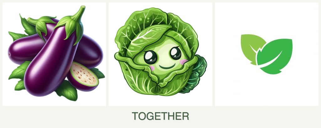 Can you plant eggplant, cabbage and mint together?