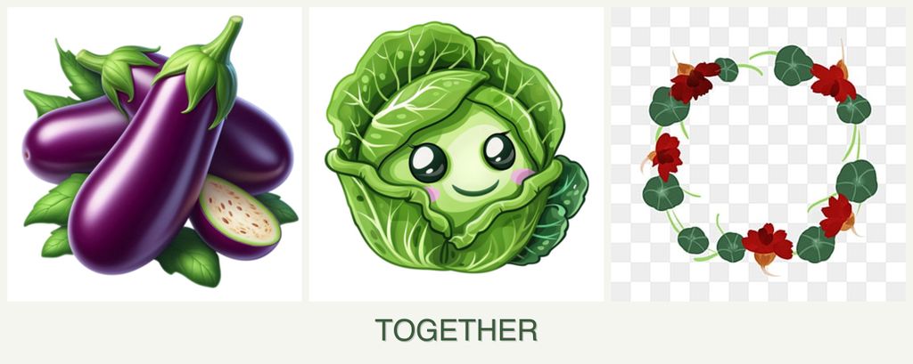 Can you plant eggplant, cabbage and nasturtiums together?