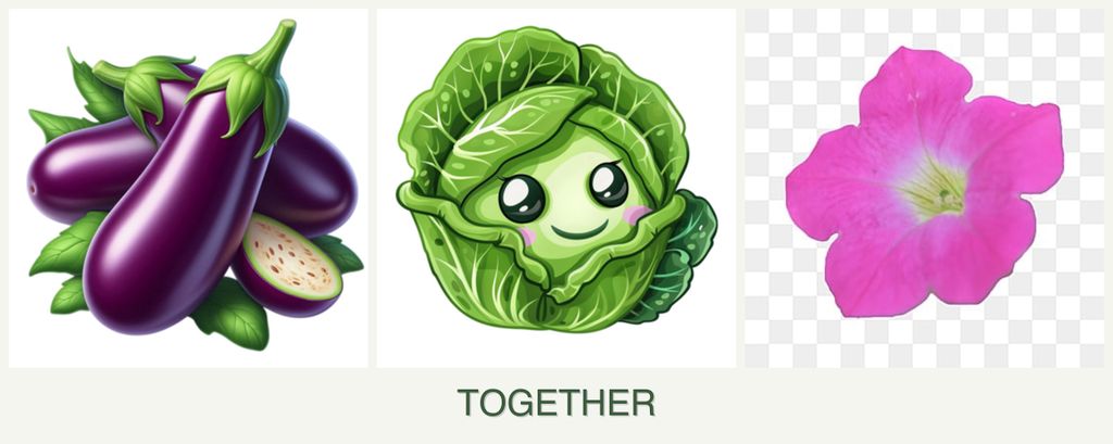 Can you plant eggplant, cabbage and petunias together?