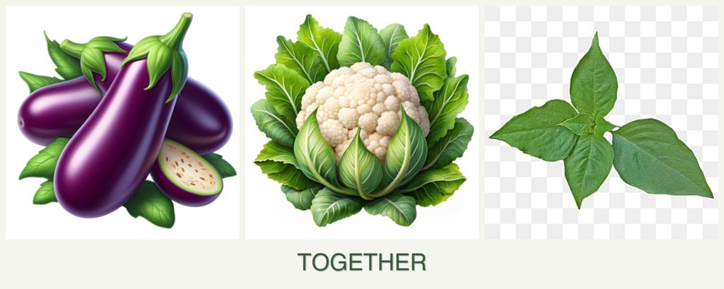 Can you plant eggplant, cauliflower and basil together?