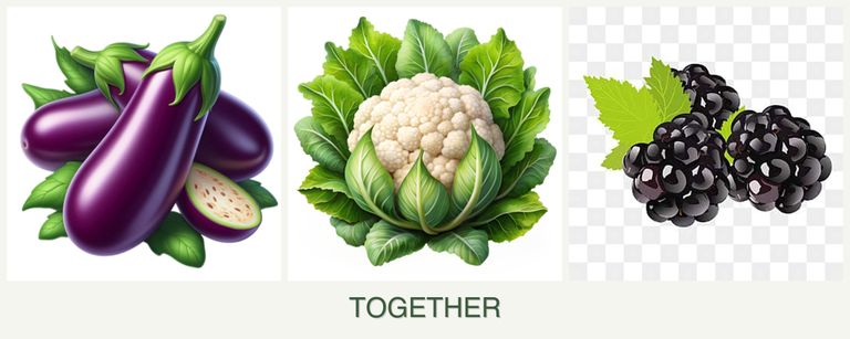 Can you plant eggplant, cauliflower and blackberries together?