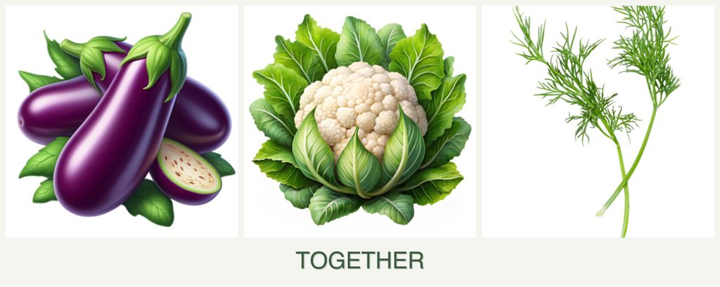 Can you plant eggplant, cauliflower and dill together?