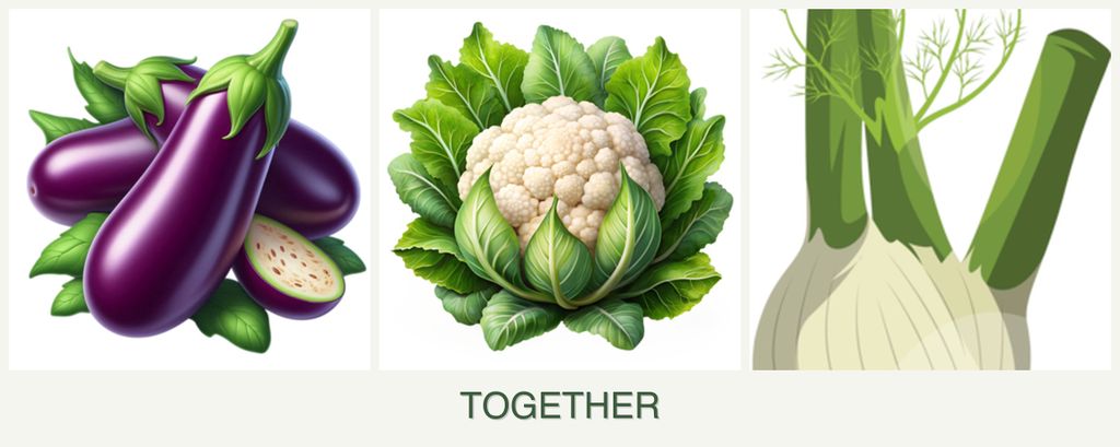 Can you plant eggplant, cauliflower and fennel together?