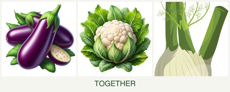 Can you plant eggplant, cauliflower and fennel together?