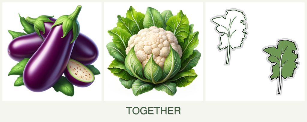 Can you plant eggplant, cauliflower and kale together?