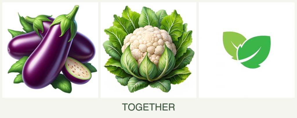 Can you plant eggplant, cauliflower and mint together?