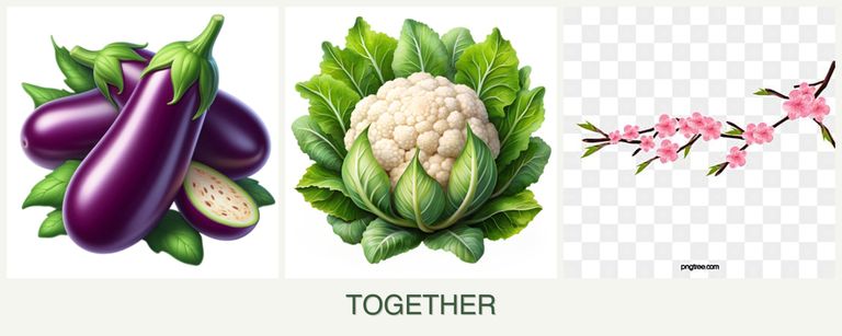 Can you plant eggplant, cauliflower and peaches together?