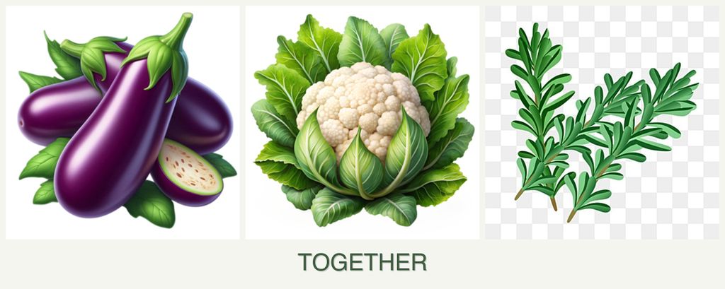 Can you plant eggplant, cauliflower and rosemary together?