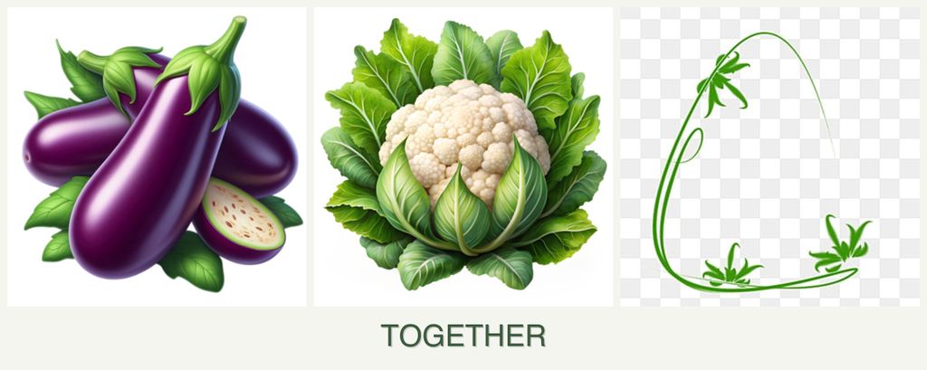 Can you plant eggplant, cauliflower and tarragon together?