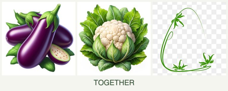 Can you plant eggplant, cauliflower and tarragon together?