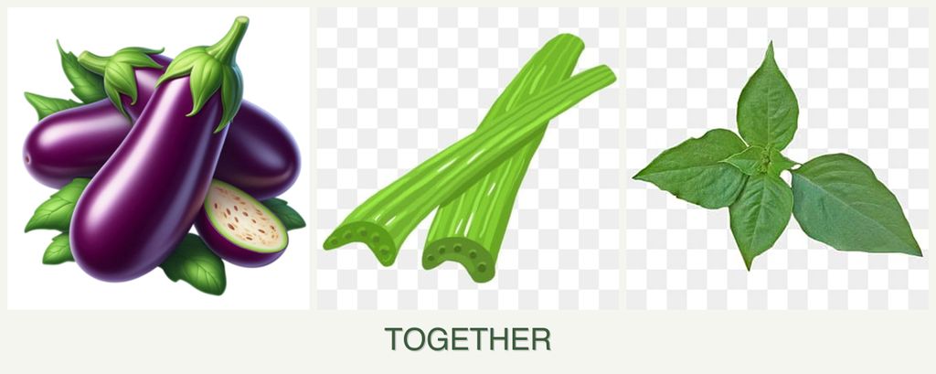 Can you plant eggplant, celery and basil together?