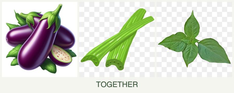 Can you plant eggplant, celery and basil together?