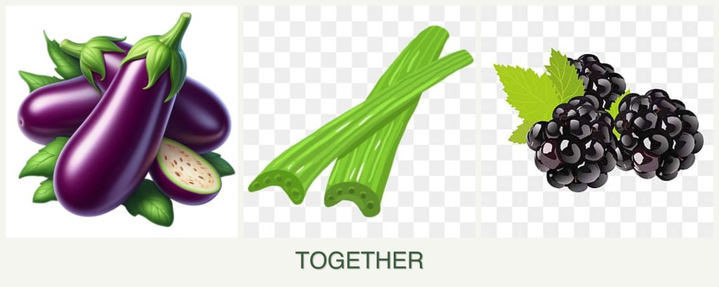 Can you plant eggplant, celery and blackberries together?