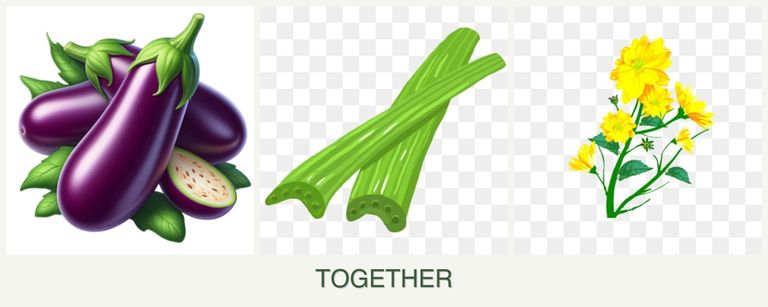 Can you plant eggplant, celery and calendula together?