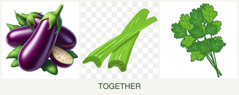 Can you plant eggplant, celery and cilantro together?