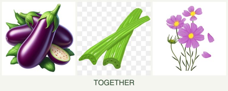 Can you plant eggplant, celery and cosmos together?