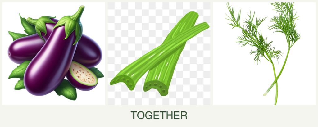 Can you plant eggplant, celery and dill together?
