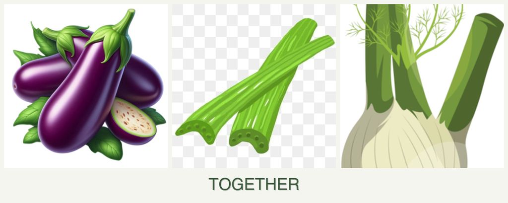Can you plant eggplant, celery and fennel together?