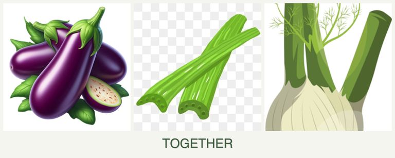 Can you plant eggplant, celery and fennel together?