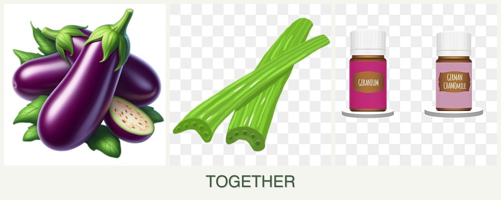 Can you plant eggplant, celery and geraniums together?