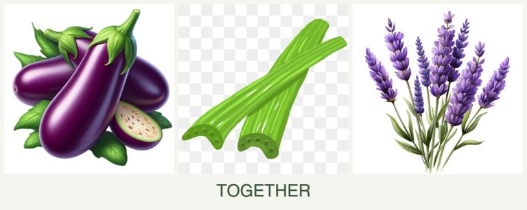 Can you plant eggplant, celery and lavender together?