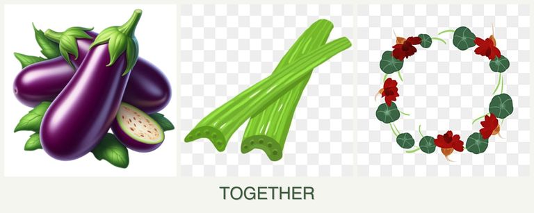 Can you plant eggplant, celery and nasturtiums together?