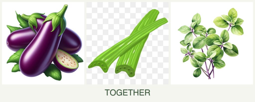 Can you plant eggplant, celery and oregano together?