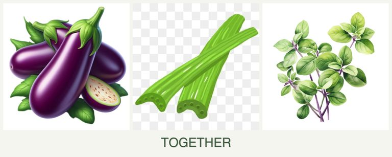 Can you plant eggplant, celery and oregano together?