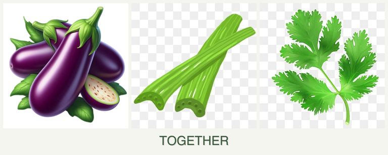 Can you plant eggplant, celery and parsley together?