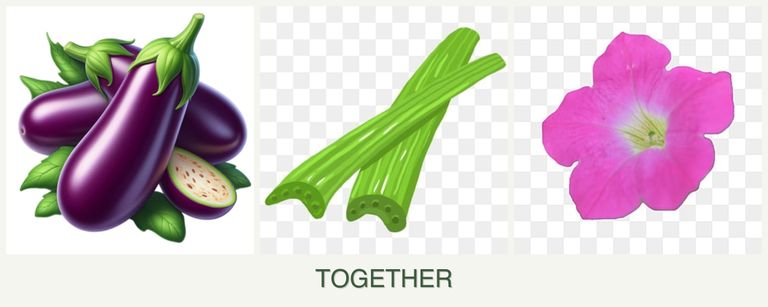 Can you plant eggplant, celery and petunias together?