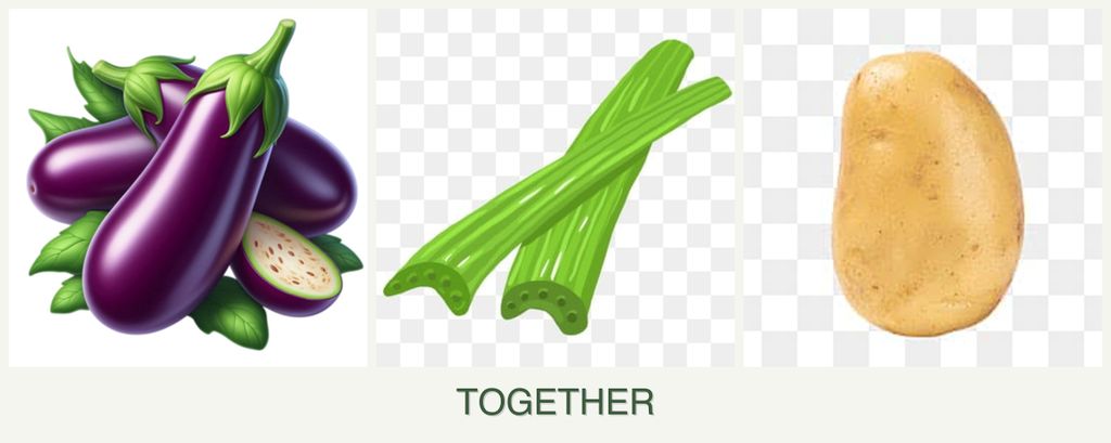 Can you plant eggplant, celery and potatoes together?