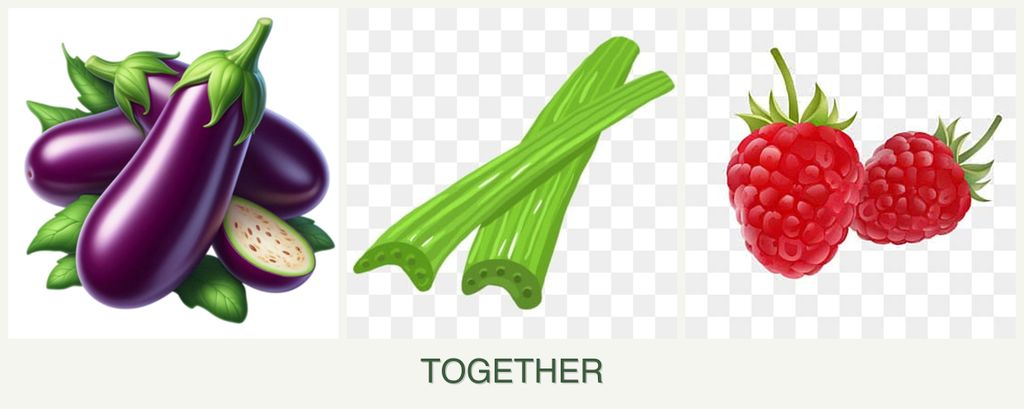 Can you plant eggplant, celery and raspberries together?