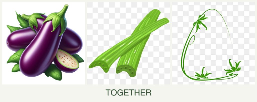 Can you plant eggplant, celery and tarragon together?