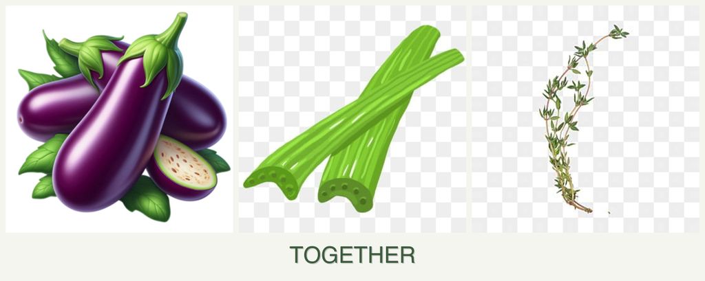 Can you plant eggplant, celery and thyme together?