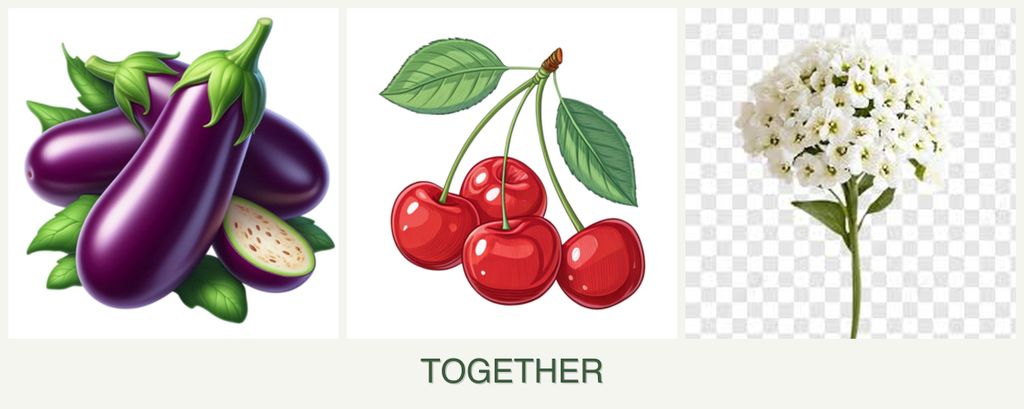 Can you plant eggplant, cherries and alyssum together?