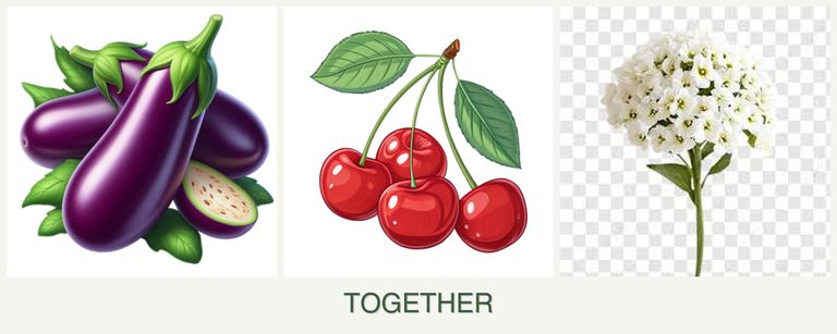 Can you plant eggplant, cherries and alyssum together?