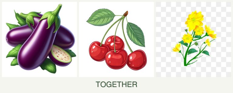 Can you plant eggplant, cherries and calendula together?