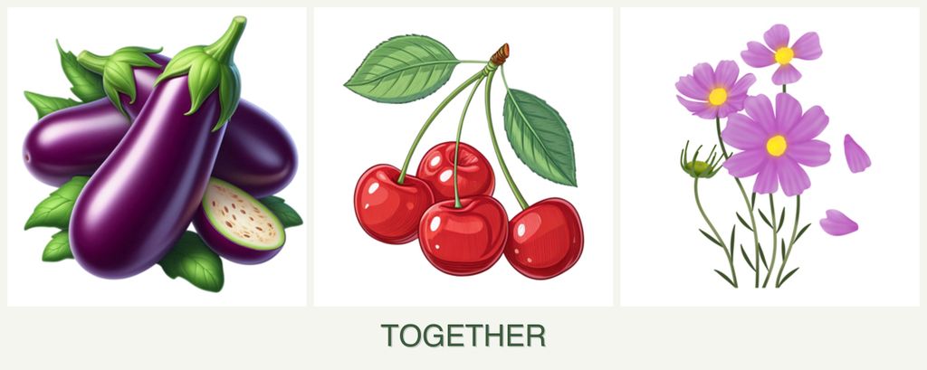 Can you plant eggplant, cherries and cosmos together?