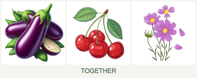 Can you plant eggplant, cherries and cosmos together?