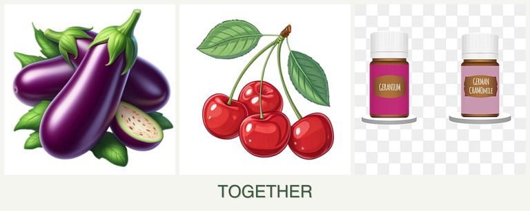 Can you plant eggplant, cherries and geraniums together?
