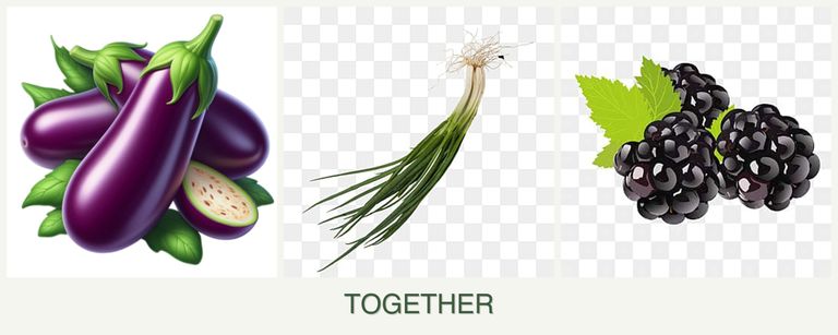 Can you plant eggplant, chives and blackberries together?