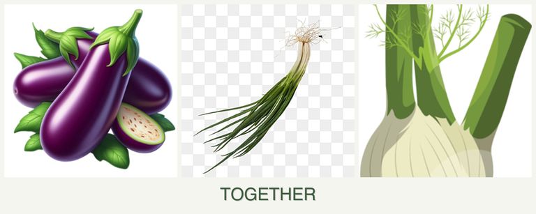 Can you plant eggplant, chives and fennel together?