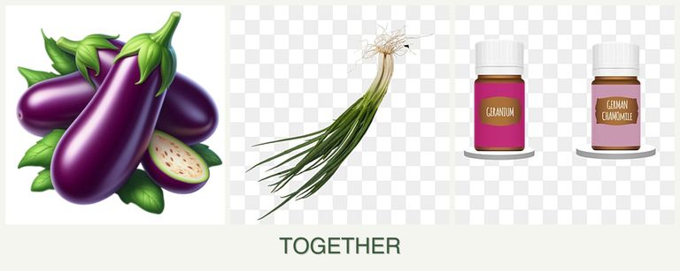 Can you plant eggplant, chives and geraniums together?